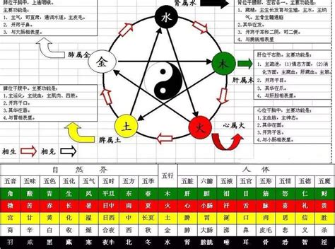 甲乙丙丁戊己庚辛壬癸|十天干、十二地支与五行 、六十甲子基本知识